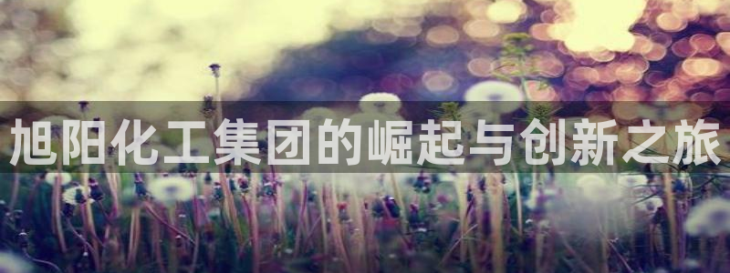 球盟会平台会黑单吗