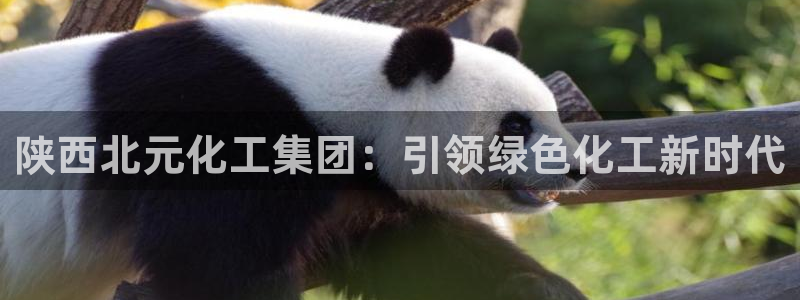 球盟会连接