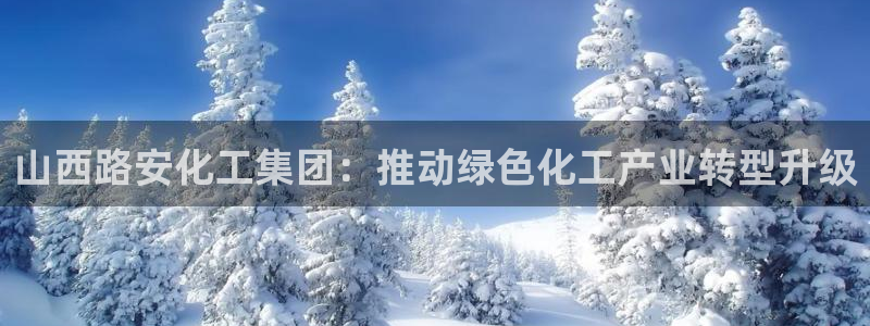 球盟会官方网站入口