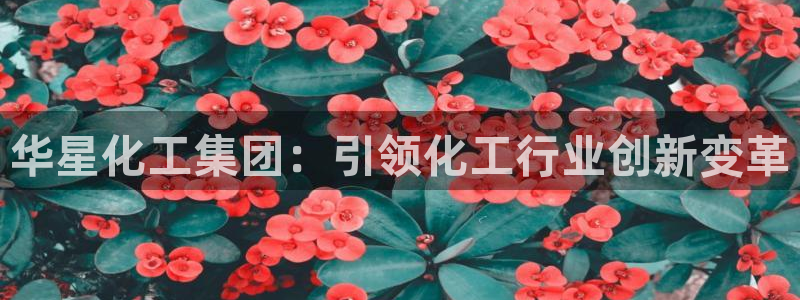 球盟会app最新地址在哪找