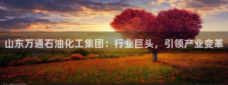 球盟会官网