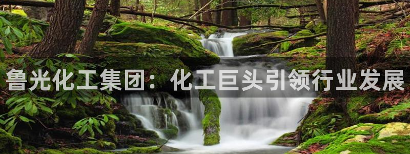 球盟会出款黑了