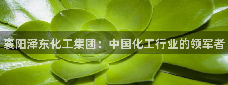 球盟会app安装