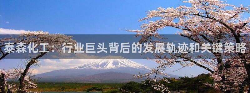 球盟会可以提现么