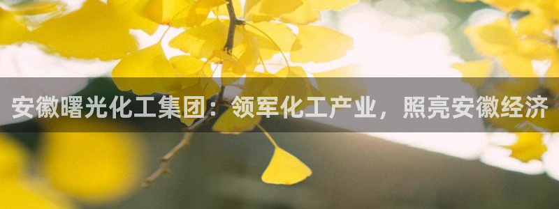 球盟会体验金球奖吗