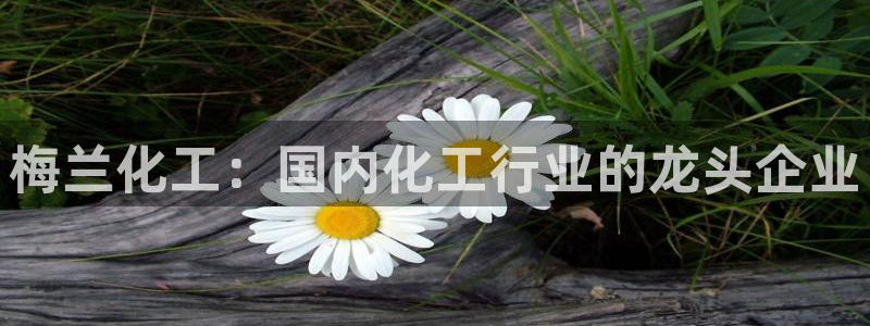 球盟会黑款吗知乎文章