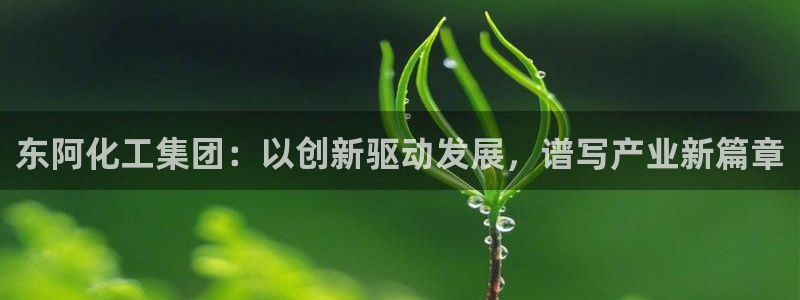 球盟会用的客服聊天是哪个软件