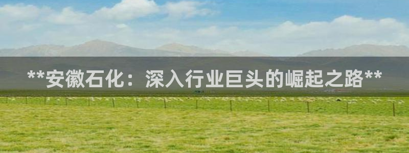 球盟会电子