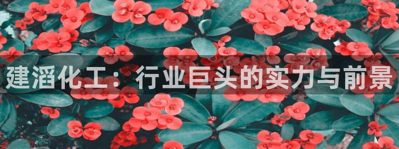球盟会能退钱吗