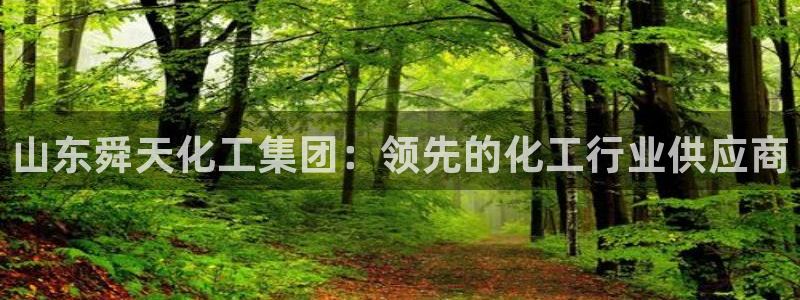 球盟会手机网页版：山东舜天化工集团：领先的化工行业供应商