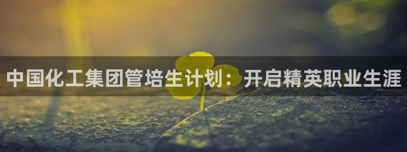 球盟会黑台子吗