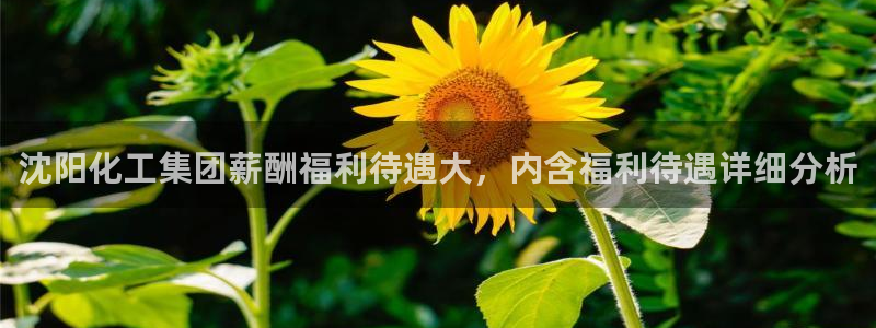 球盟会下款快吗