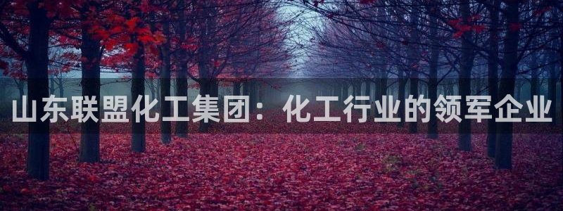 球盟会可以提现么现在
