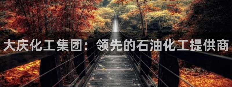 球盟会体育app官方网站：大庆化工集团：领先的石油化工提供商