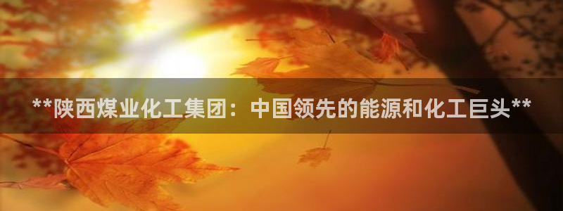 球盟会进不去球员吗：**陕西煤业化工集团：中国领先的能源和化