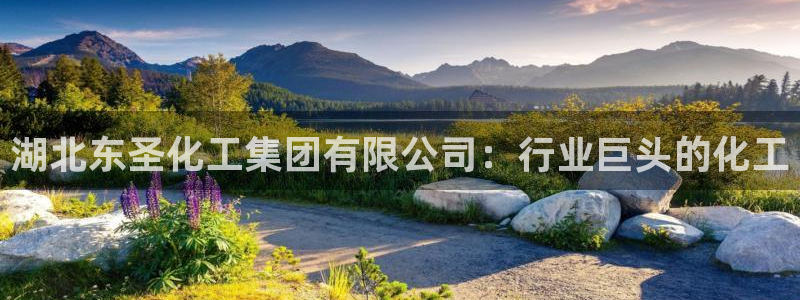 球盟会中国官方网站