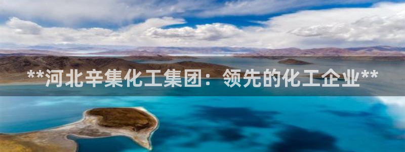 球盟会官网：**河北辛集化工集团：领先的化工企业**