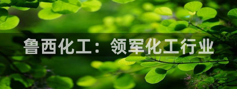 球盟会在线官网：鲁西化工：领军化工行业
