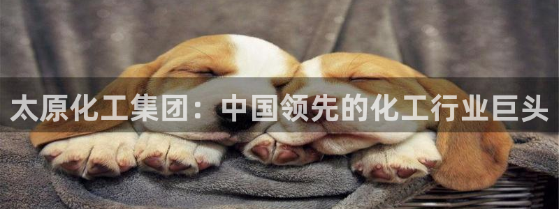 球盟会黑台子：太原化工集团：中国领先的化工行业巨头