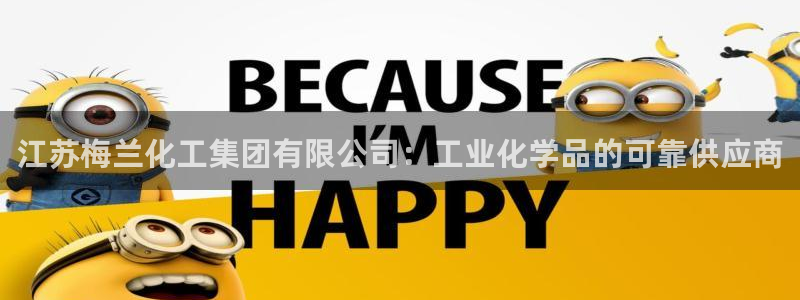 球盟会有没有黑单的：江苏梅兰化工集团有限公司：工业化学品的可