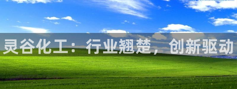 千亿球盟会乐玩：灵谷化工：行业翘楚，创新驱动
