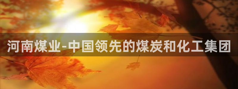 千亿球盟会：河南煤业-中国领先的煤炭和化工集团