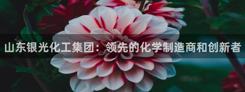 球盟会游戏几点玩合适：山东银光化工集团：领先的化学制造商和创