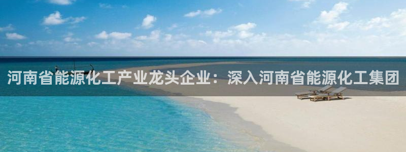 球盟会优惠领取网站：河南省能源化工产业龙头企业：深入河南省能
