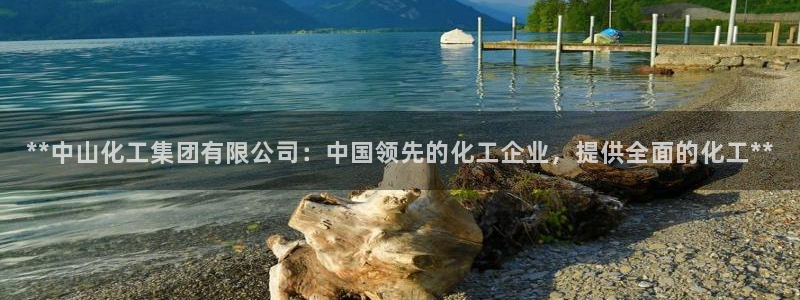 球盟会网址：**中山化工集团有限公司：中国领先的化工企业，提