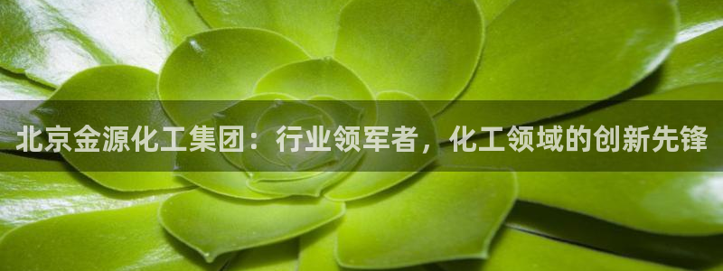 球盟会app入口
