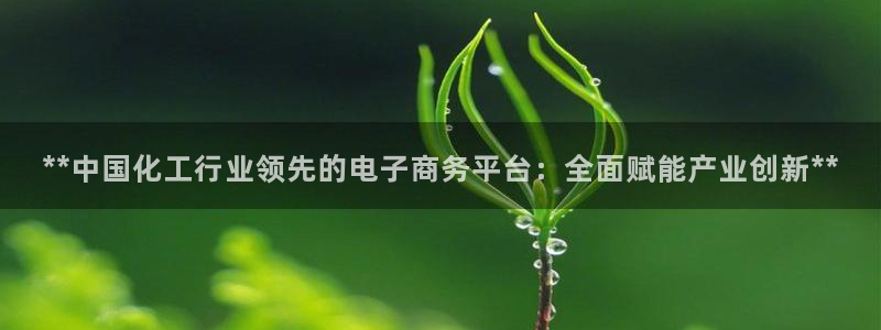球盟会游戏几点玩合适：**中国化工行业领先的电子商务平台：全