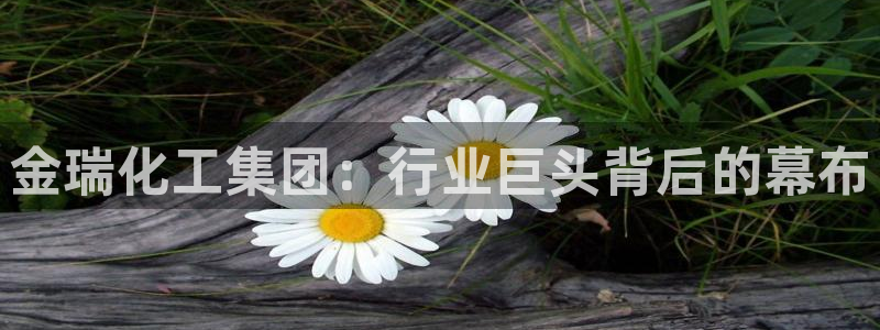 球盟会下款快吗