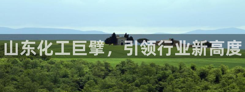 球盟会：山东化工巨擘，引领行业新高度