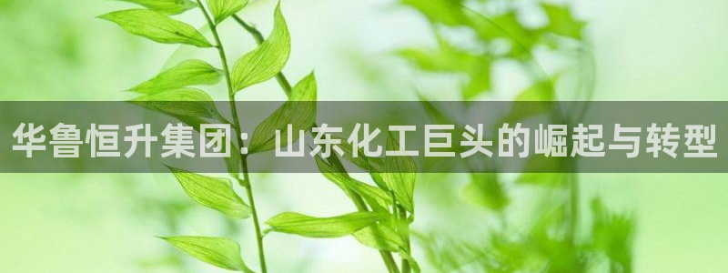球盟会app最新地址在哪里