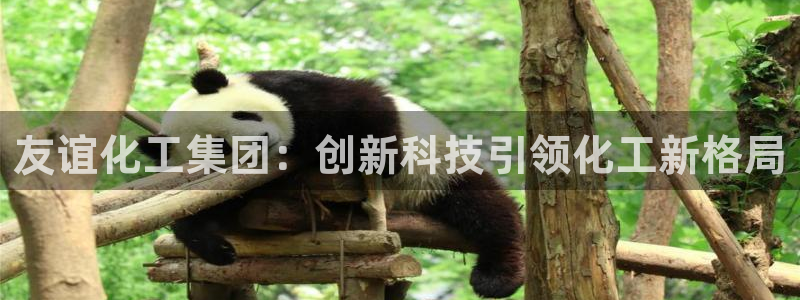 球盟会官方网页登录：友谊化工集团：创新科技引领化工新格局