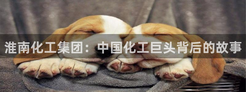 球盟会头号玩家