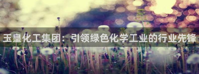 千亿球盟会：玉皇化工集团：引领绿色化学工业的行业先锋