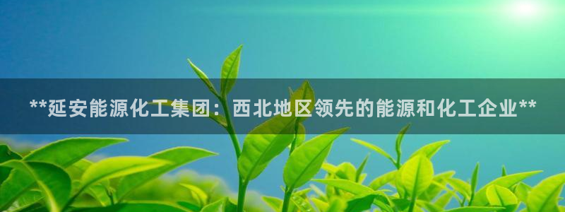 球盟会app入口：**延安能源化工集团：西北地区领先的能源和