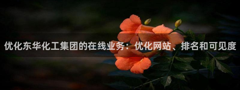 球盟会有限公司怎么样：优化东华化工集团的在线业务：优化网站、