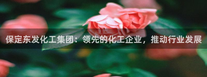 球盟会最新
