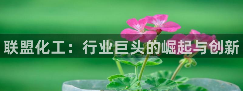球盟会里面有打牌的嘛