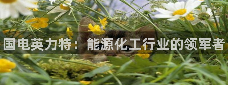 球盟会能提现吗安全吗