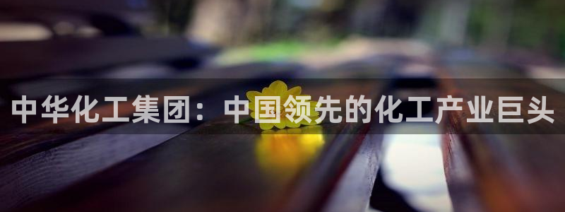 球盟会网址qm9 - 球盟会qmh网页版登录：中华化工集团：