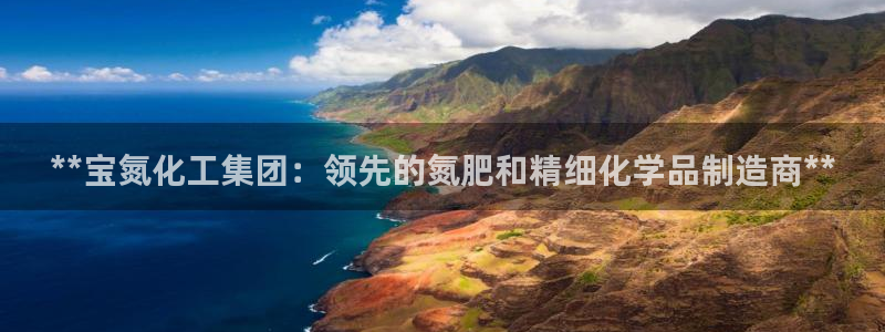 球盟会手机网页版：**宝氮化工集团：领先的氮肥和精细化学品制