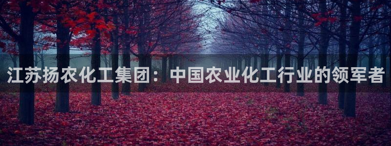球盟会下款快吗