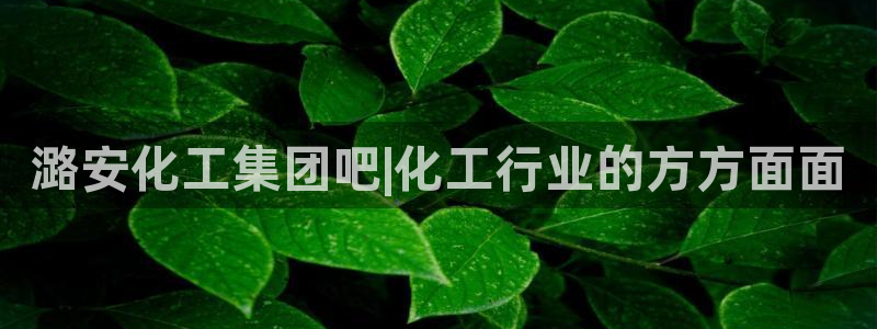 球盟会网址