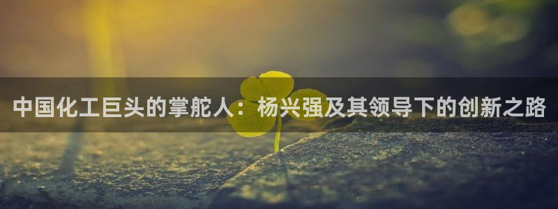 球盟会黑平台