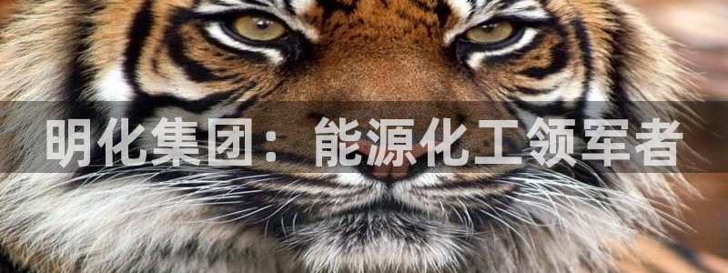 球盟会官方网址入口：明化集团：能源化工领军者