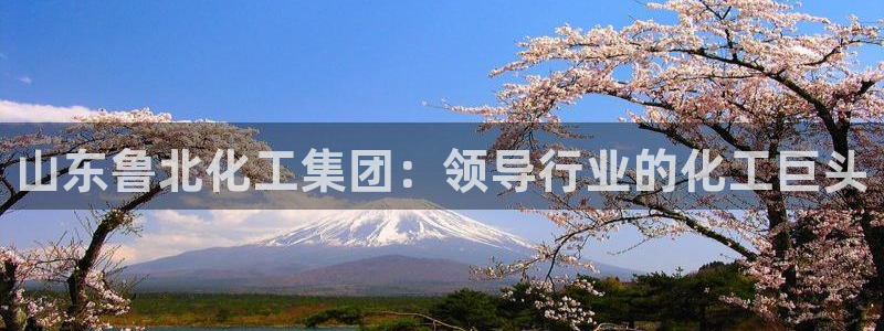 球盟会提款支付宝怎么样