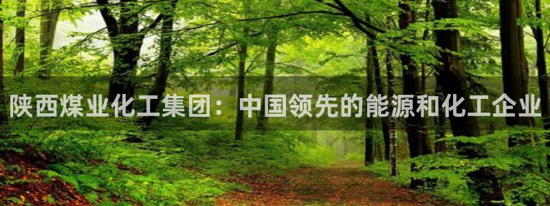 球盟会综合体育平台怎么样：陕西煤业化工集团：中国领先的能源和